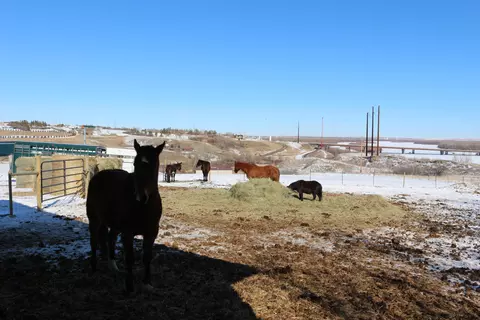 14084 47th Ln NW, Williston, ND 58801 photo 26