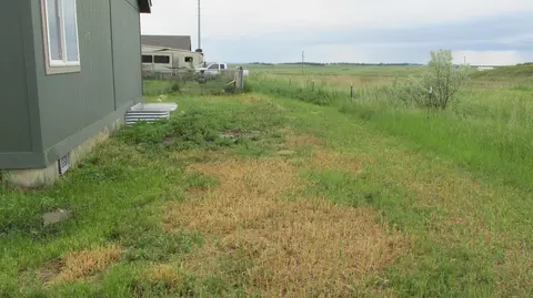 5617 Border Ave, Williston, ND 58801 photo 16