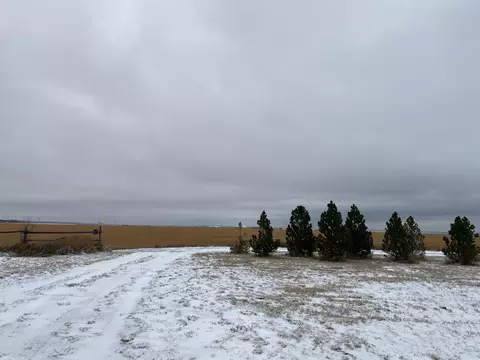 5185 Nesson Point Rd, Ray, ND 58849 photo 6