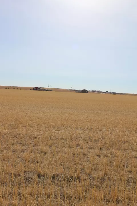 15089 53 S Way NW, Williston, ND 58801 photo 7