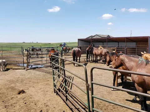 6777 133rd Ave NW, Williston, ND 58801 photo 34