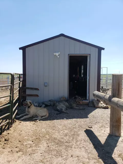 6777 133rd Ave NW, Williston, ND 58801 photo 29