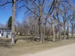 101 5th Ave SE, Buchanan, ND 58420 photo 3