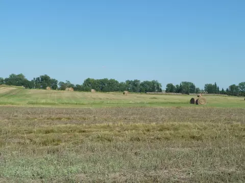 1430 76th Ave SE, Pingree, ND 58476 photo 31