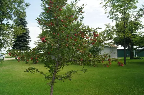 107 9th Ave E, Edgeley, ND 58433 photo 18