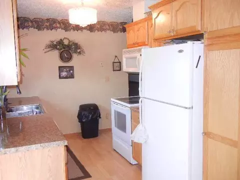 57 Custer Dr, Lincoln, ND 58504 photo 5