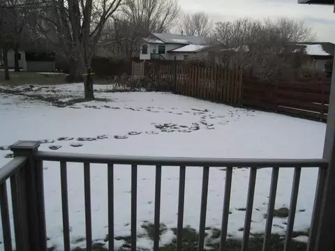 1540 Omaha Dr E, Bismarck, ND 58504 photo 27