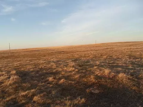 40001 392 St NE, Wing, ND 58494 photo 20