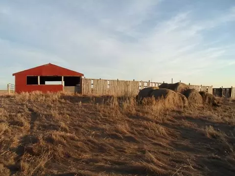 40001 392 St NE, Wing, ND 58494 photo 3