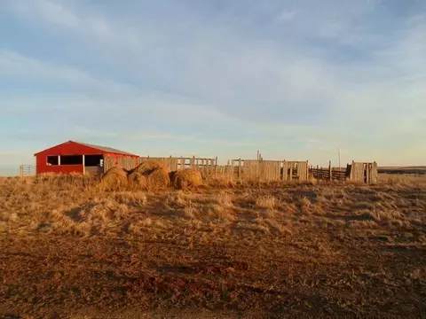 40001 392 St NE, Wing, ND 58494 photo 4