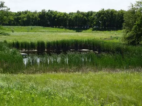14400 41 St NE, Baldwin, ND 58521 photo 9