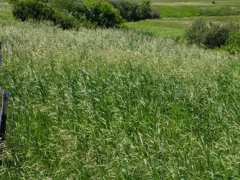 14400 41 St NE, Baldwin, ND 58521 photo 7