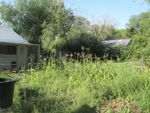 30 2nd Ave E, Menoken, ND 58558 photo 6