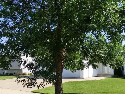 2506 9 Ave SE, Mandan, ND 58554 photo 41