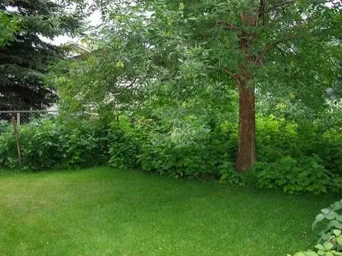 2987 Warwick Lp, Bismarck, ND 58504 photo 27