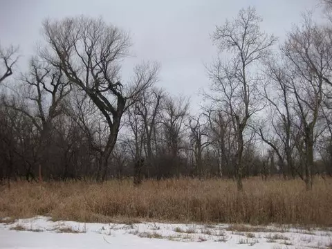 526 Sheehan Rd, Bismarck, ND 58504 photo 2