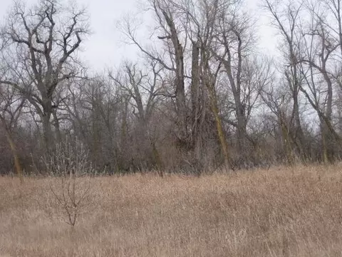 526 Sheehan Rd, Bismarck, ND 58504 photo 10