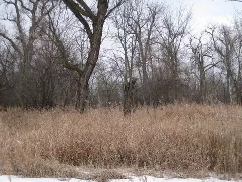 526 Sheehan Rd, Bismarck, ND 58504 photo 11