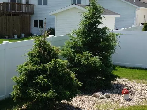 2913 Sleepy Hollow Lp, Bismarck, ND 58501 photo 22