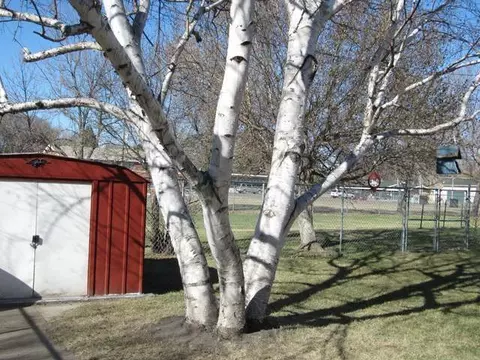 616 Garden Dr, Bismarck, ND 58504 photo 29