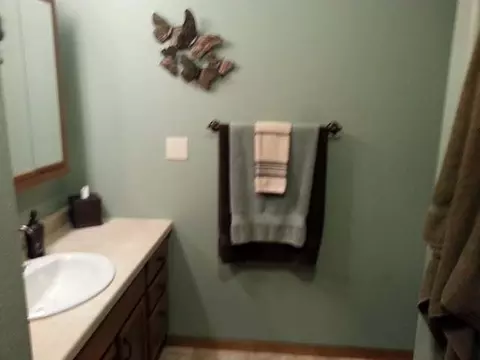 138 Dolan Dr, Lincoln, ND 58504 photo 23