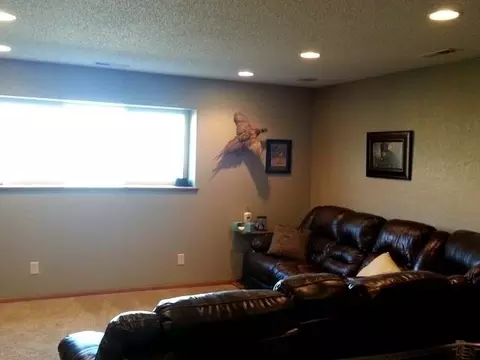 138 Dolan Dr, Lincoln, ND 58504 photo 33