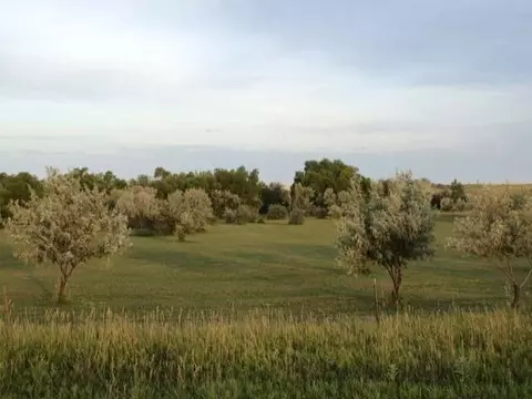 15300 52 St NE, Baldwin, ND 58521 photo 43