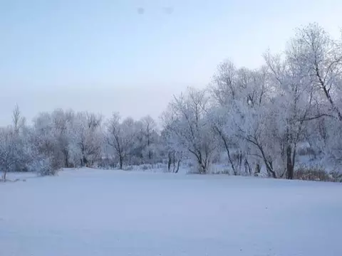 15300 52 St NE, Baldwin, ND 58521 photo 47