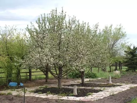 15300 52 St NE, Baldwin, ND 58521 photo 49