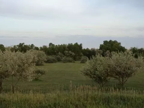 15300 52 St NE, Baldwin, ND 58521 photo 42