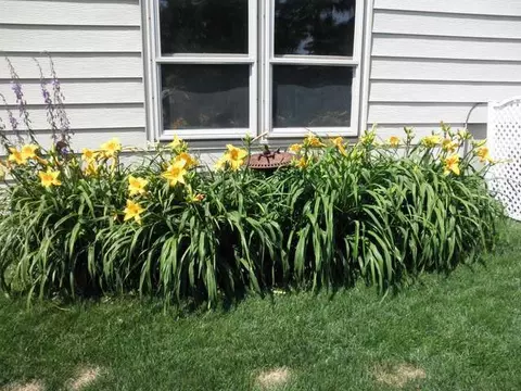 1241 Coulee Rd E, Bismarck, ND 58501 photo 19