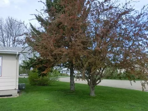 302 1st St S, Wilton, ND 58579 photo 2
