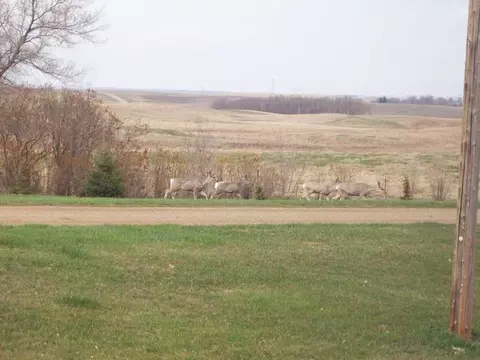 18090 119th St, Baldwin, ND 58521 photo 62