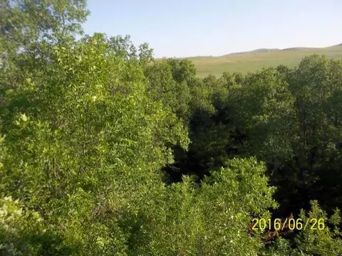 2753 Lyons Rd, Mandan, ND 58554 photo 42