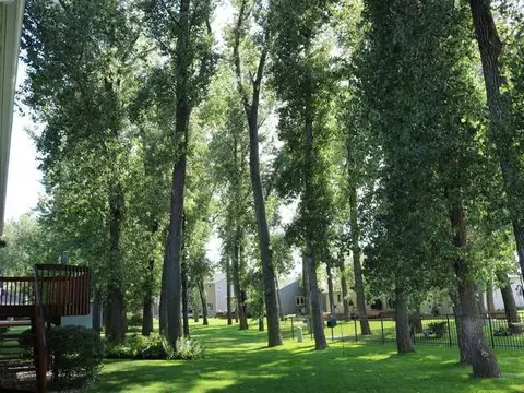 368 Napa Lp, Bismarck, ND 58504 photo 26
