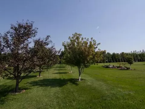 9301 Cedar Ln, Bismarck, ND 58503 photo 13
