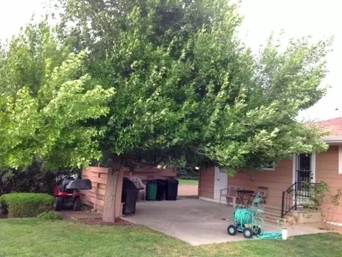 309 8th St, Hettinger, ND 58639 photo 32