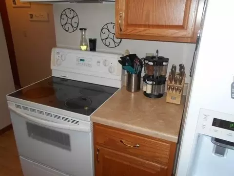 60 Custer Dr, Lincoln, ND 58504 photo 10