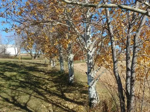 20759 26th St NE, Baldwin, ND 58521 photo 24