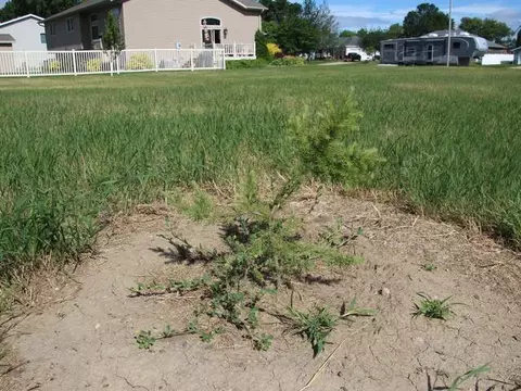 3301 Devon Pl, Bismarck, ND 58504 photo 7