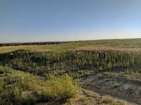 693 Harmony Lp, Hazen, ND 58545 photo 2