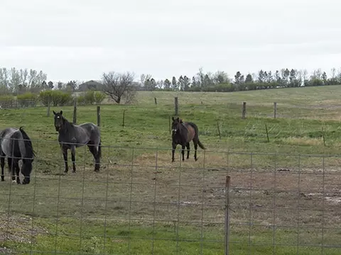 5115 50th Ave SE, Streeter, ND 58483 photo 27