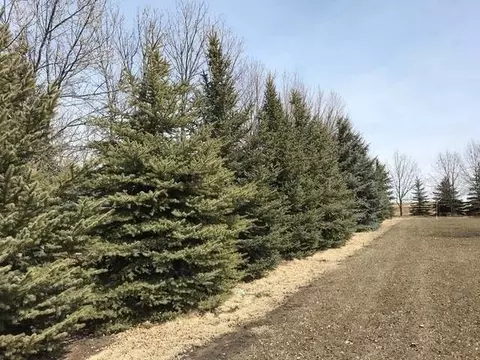 4013 Cedar Pl, Bismarck, ND 58503 photo 27
