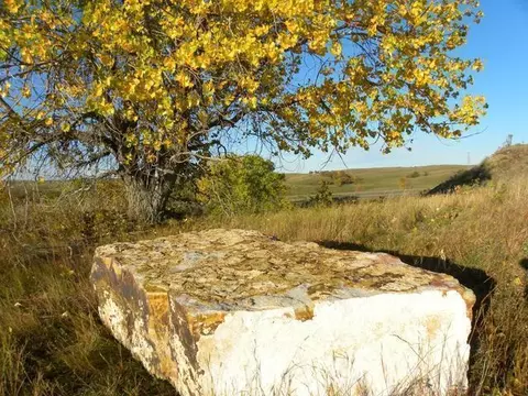 14865 Paniolo Way, Bismarck, ND 58503 photo 9