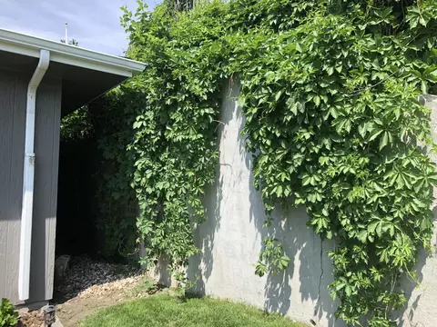 2444 Boulevard Ave E, Bismarck, ND 58501 photo 61
