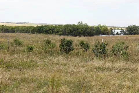 17744 119th St NE, Baldwin, ND 58521 photo 17