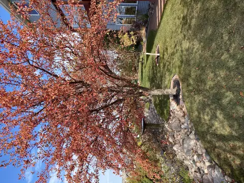 629 Huron Dr, Bismarck, ND 58503 photo 129