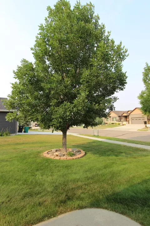 1995 Mesquite Loop, Bismarck, ND 58503 photo 9