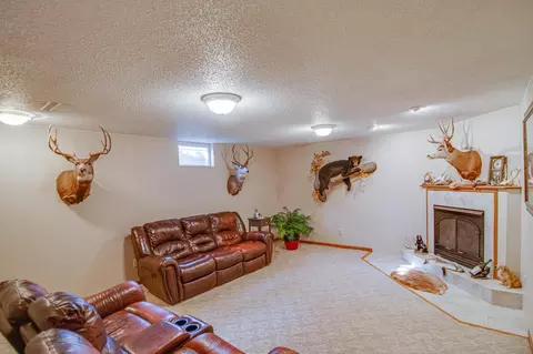 13301 52nd St NE, Baldwin, ND 58521 photo 20