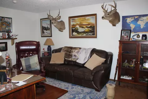 129 E Brandon Dr, Bismarck, ND 58503 photo 28